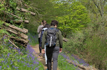 people wandering in the nature