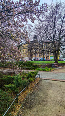 Old city architecture in Poland country in the Szczecin city