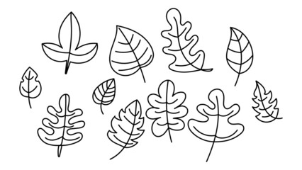 Leaves of many shapes hand drawn lines .isolated on white background ,Vector illustration EPS 10