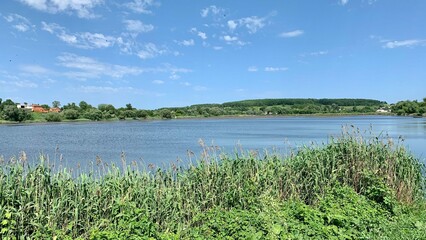 landscape with lake and grass