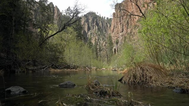 Low angle dolly move along river in lush desert canyon with sheer walls