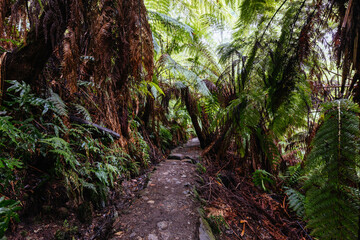 La La Falls in Warburton Australia