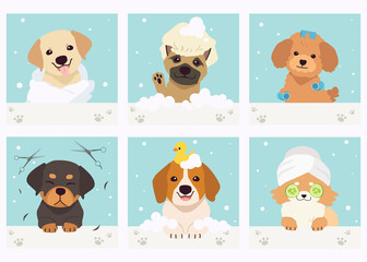 The collection of cute dog with spa and salon theme in flat vector style. Graphic resource about pet grooming for graphic, content, banner, greeting card.