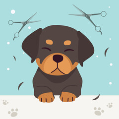 The collection of cute rottweiler dog with spa and salon theme in flat vector style. Graphic resource about pet grooming for graphic, content, banner, greeting card.