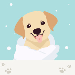 The collection of cute Labrador retriever dog with spa and salon theme in flat vector style. Graphic resource about pet grooming for graphic, content, banner, greeting card.