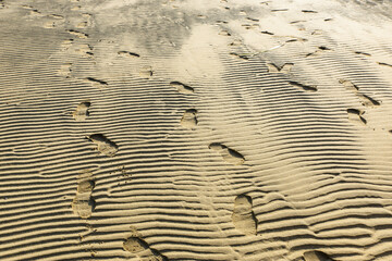 父母が浜に刻まれた複数の足跡