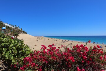 widok na plażę w Morro Jable na wyspie fuerteventura