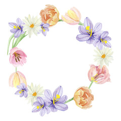 Fototapeta na wymiar Watercolor floral wreath illustration with tulips and crocus, green leaves, for wedding stationery, greeting card, baby shower, banner, logo design.