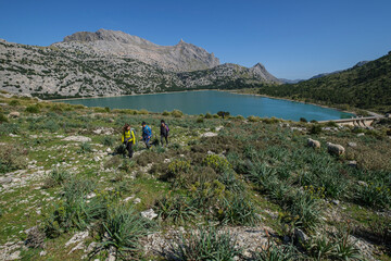 walkers starting the Three Thousand Route, (Tres Mils) Cuber Reservoir, Fornalutx, Majorca,...