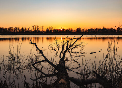 stille am Abend - ein Baumstamm findet seine letzte Ruhe im See bei Sonnenuntergang