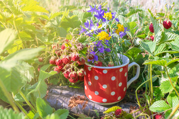 Summer bouquet of wildflowers and wild strawberries in the sunlight