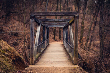 Old wooden bridge in the forest, autumn weather.