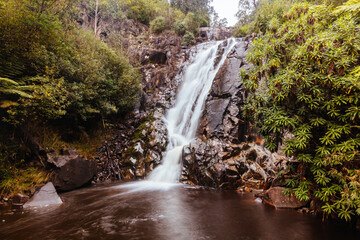 Steavenson Falls in Marysville Australia