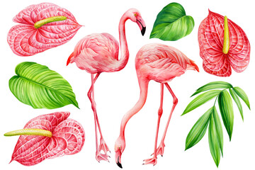 Flamingo birds, palm leaves, anthurium flowers. Watercolor tropical set, isolated on white background. - obrazy, fototapety, plakaty
