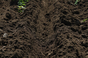 Recurso natural Suelo