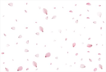 Sakura petals. Cherry petals backdrop