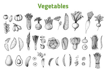 Vegetables drawing collection. Hand drawn illustration. Organic food poster. Vintage hand drawn sketch. Good nutrition, healthy food. Vegetable vector illustration.
