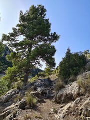 Senderos para la practica del senderismo en la monta&ntilde;a 