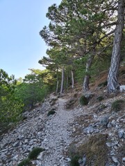 Senderos para la practica del senderismo en la montaña 