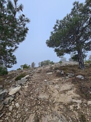 Caminos para la practica del senderismo 