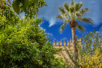 View of the beautiful gardens of the Alcazar de los Reyes Cristianos, Cordoba, Andalusia, Spain