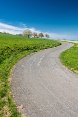 s-curve during cherry blossom in spring in Baselland