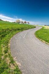 s-curve during cherry blossom in spring in Baselland