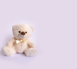 soft toy teddy bear