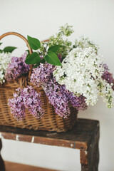 Beautiful lilac flowers in wicker basket on wooden chair. Purple and white lilacs petals close up, floral composition in home. Spring rustic still life on rural background. Mothers day or wedding