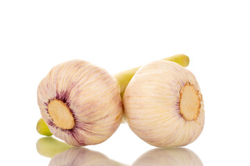 Two heads of early garlic, macro, isolated on a white background.