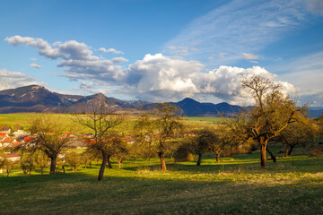 Fototapeta na wymiar Sunny spring rural landscape, orchards on the edge of the village with a mountains on background.