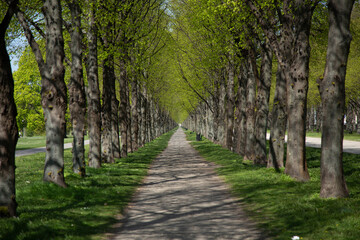 long road