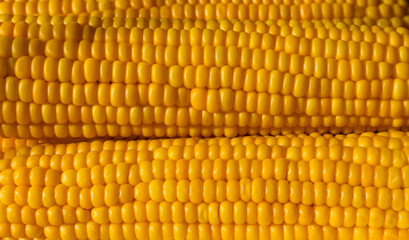 The texture of the yellow kernels of boiled corn. Close-up, copy space.