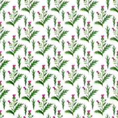 Watercolor seamless pattern with stylized twigs, flowers and leaves of the Thistle plant