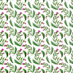 Watercolor seamless pattern with stylized twigs, flowers and leaves of the Thistle plant