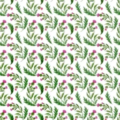 Fototapeten Watercolor seamless pattern with stylized twigs, flowers and leaves of the Thistle plant © Ellivelli