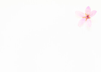 unique background with an outline of a flower on a light background