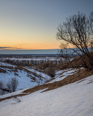 A tree on the slope of a ravine with dragging snow at sunset. The arrival of spring. vertical position