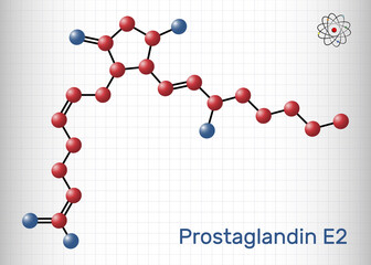 Prostaglandin E2, PGE2, dinoprostone molecule. It is used to induce labor or abortion. Structural chemical formula and molecule model. Sheet of paper in a cage.