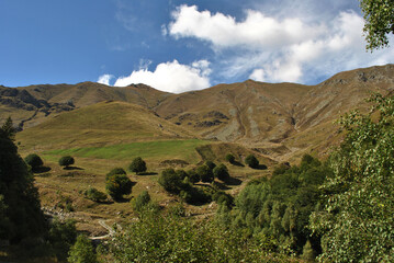 Montagna in Estate