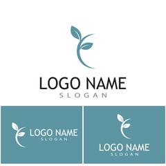 Mint leaves flat vector color icon template illustration design