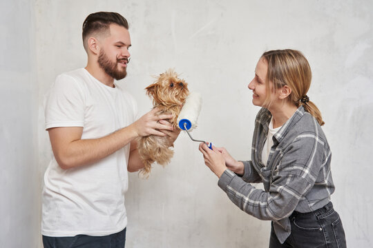 young modern couple makes repairs. a man with a funny mustache and a beautiful woman hold a small Yorkshire terrier in their hands and jokingly drive an empty paint roller over it.