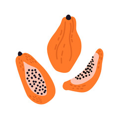 Papaya and slices. Vector illustration of exotic fruit on isolated background