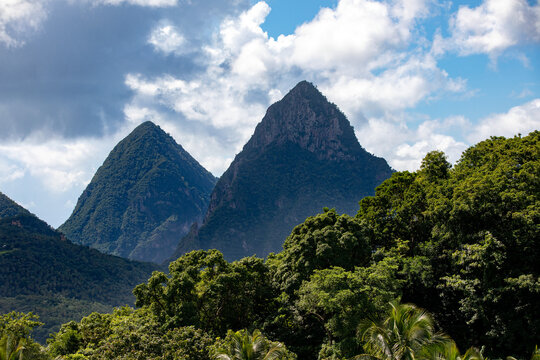 Beautiful Landscape Of Piton Mountains In Greenery