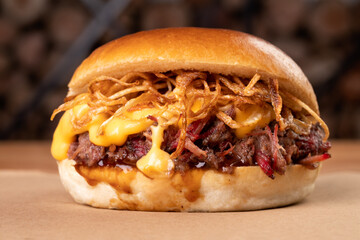 Closeup shot of a pulled beef burger with cheese and fried onions