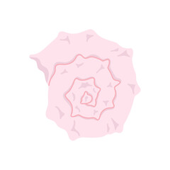 Sea spiral pink pastel shell flat illustration. Vector isolated on white background.