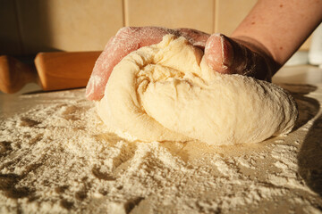 Preparation of Bread Dough