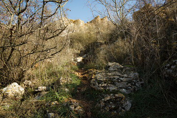 Verwucherter Weg zum Gipfel