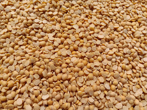 Toor daal or tur dal yellow The seeds of the trumpet Turmeric seeds