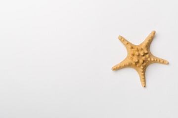 Fototapeta na wymiar Starfish on white background, top view